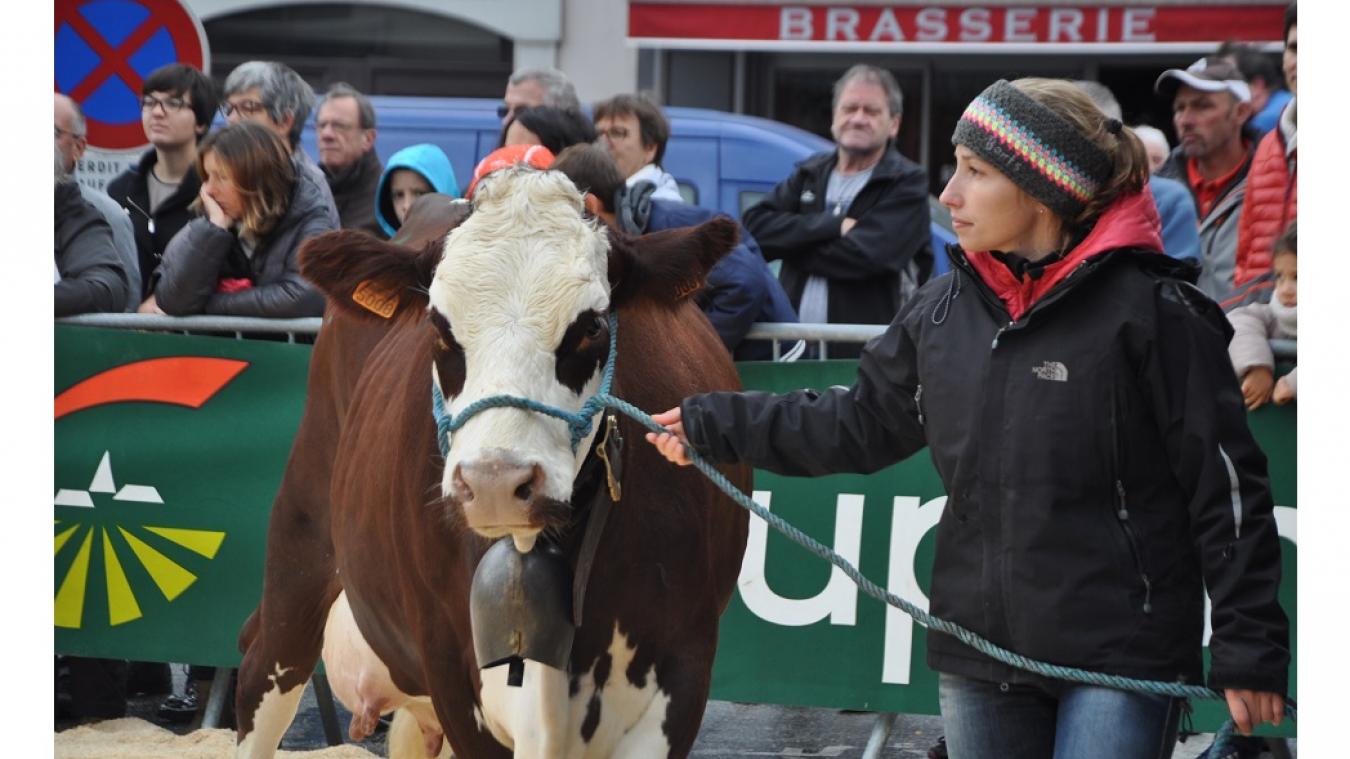 Le traditionnel concours de vaches fait son grand retour cette année.