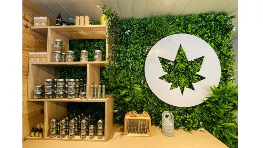 Magasin CBD  Annecy : dcouvrez la boutique High Society - L'Essor Savoyard