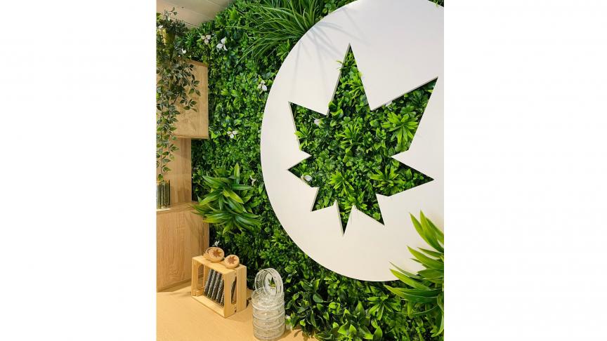 Magasin CBD  Annecy : dcouvrez la boutique High Society - L'Essor Savoyard