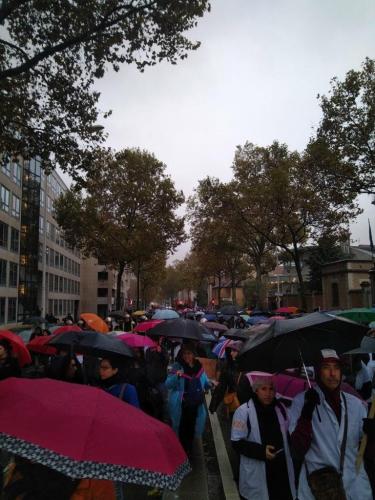 Pays de Gex / pays bellegardien: les pompiers en manifestation à Lyon Pays de Gex / pays bellegardien: les pompiers en manifestation à Lyon