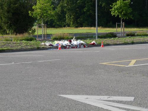 Homicide à Meyrin: le prévenu renvoyé en jugement