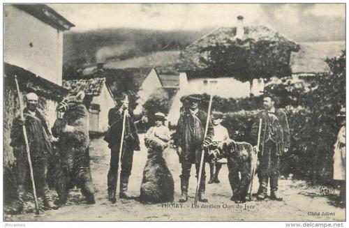 Haut-Jura : comment les derniers ours ont été abattus Haut-Jura : comment les derniers ours ont été abattus