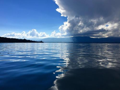 Le Léman n’a pas été réoxygéné en profondeur depuis 8 ans