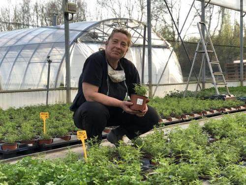 Gaillard : Internet, le système D quand on est maraîcher et horticulteur