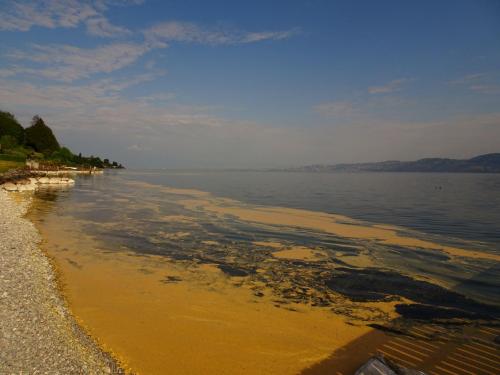 Quand le Léman prend une couleur or Quand le Léman prend une couleur or