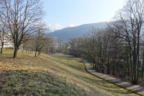 Annecy: un jeune homme interpellé pour trafic de stupéfiants