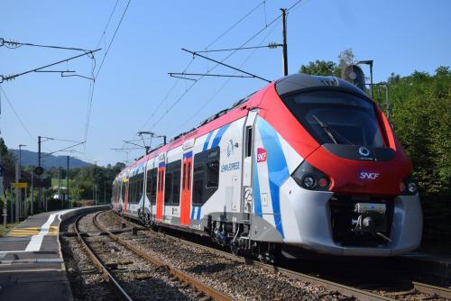Léman Express : un retour progressif et des règles sanitaires différentes entre France et Suisse Léman Express : un retour progressif et des règles sanitaires différentes entre France et Suisse