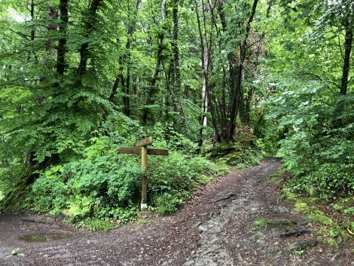 Bonneville : quatre individus jugés pour avoir enlevé, séquestré, battu et bâillonné un jeune homme Bonneville : quatre individus jugés pour avoir enlevé, séquestré, battu et bâillonné un jeune homme