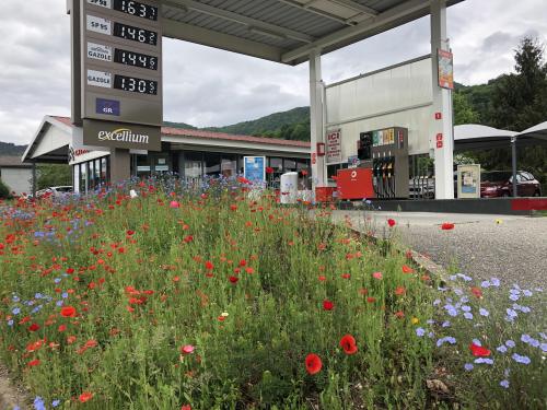 Valserine : dans la vallée, les garages indépendants se sont adaptés