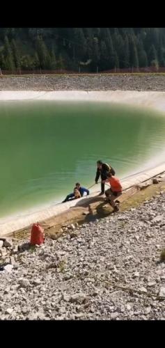 Bernex : un homme plonge dans l’eau glacée pour sauver ses trois chiens