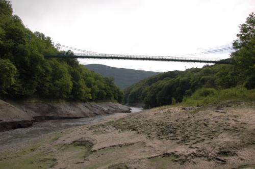 Pays bellegardien : les chasses du Rhône reportées en 2021 Pays bellegardien : les chasses du Rhône reportées en 2021