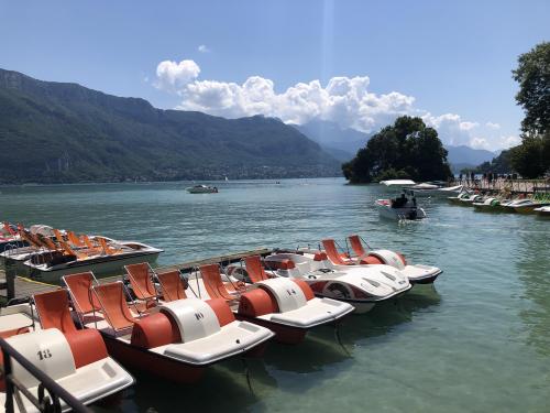 Annecy : les pédalos, symboles des dernières incertitudes