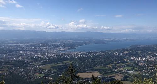 Genève, seul canton suisse où le chômage est en hausse en juillet Genève, seul canton suisse où le chômage est en hausse en juillet