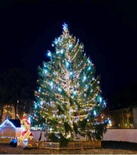 Sallanches Recherche Son Sapin De Noel Le Messager