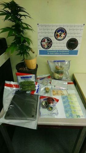 Reignier-Esery : une fausse déclaration de vol mène les gendarmes vers de l’ecstasy, de la cocaïne et du cannabis