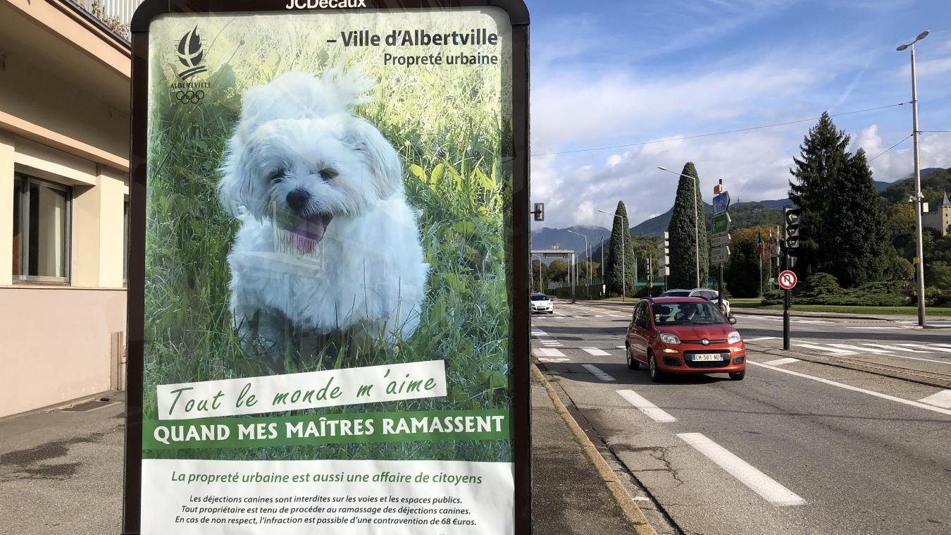 Albertville Quand Les Chiens Dressent Leurs Maîtres à La