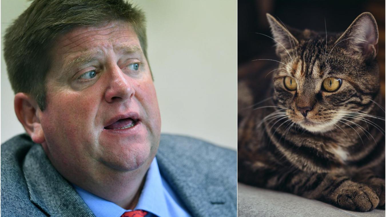Video Le President Des Chasseurs Propose De Pieger Les Chats Qui Se Trouvent A Plus De 300 Metres Des Habitations Le Messager Video Le President Des Chasseurs Propose De Pieger Les Chats Qui Se Trouvent A Plus De 300 Metres Des Habitations Le Messager