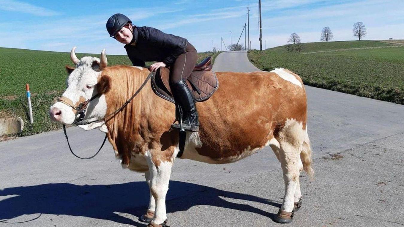 Lydia n’a pas pu apprendre à monter à cheval alors elle est monté à dos de vache.