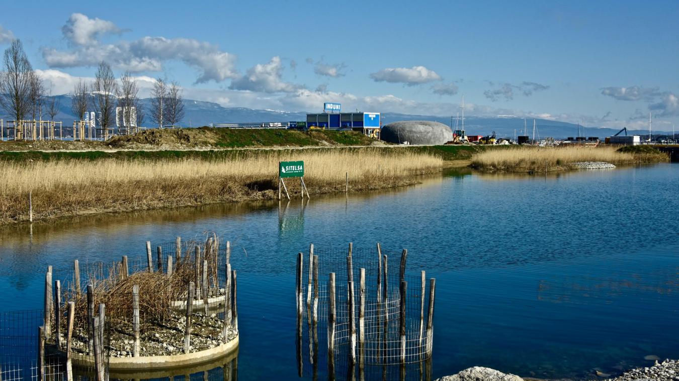 A Geneve Une Nouvelle Plage Gratuite Ecrin De Verdure Pour Les Uns Saccage Irreversible Pour Les Autres Le Pays Gessien