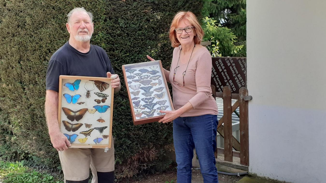 Roland, fier de présenter sa collection de papillons exotiques, glanés en Afrique et en Guyane.