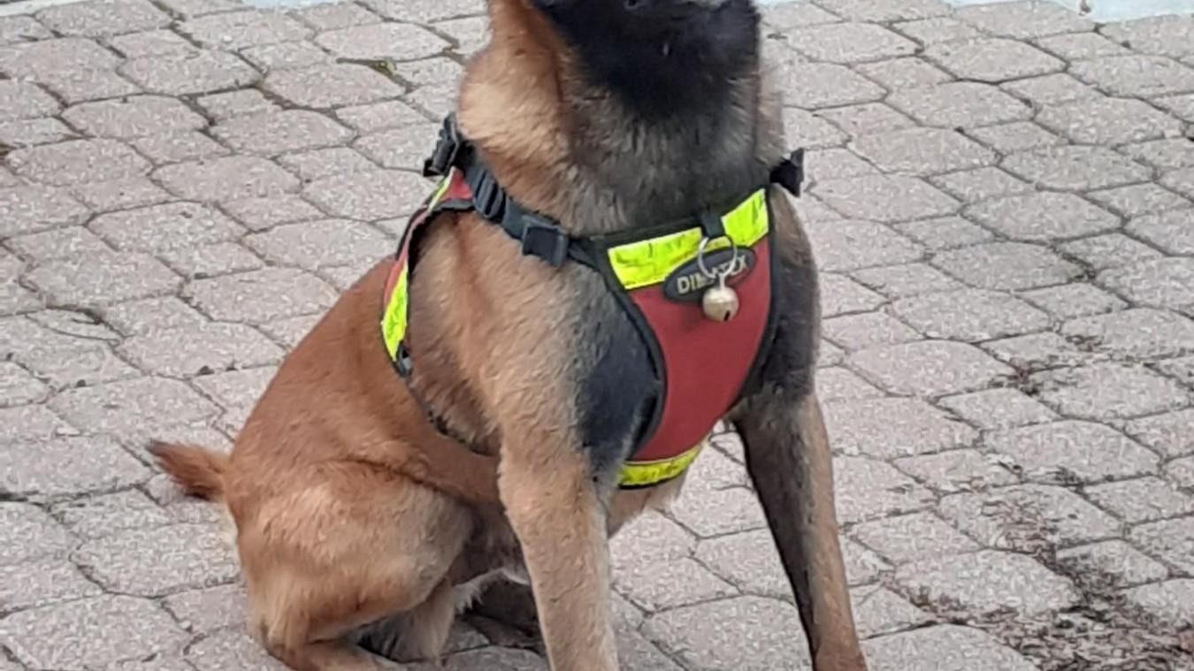 PrévessinMoëns Nasko, le chien pompier qui peut vous sauver la vie