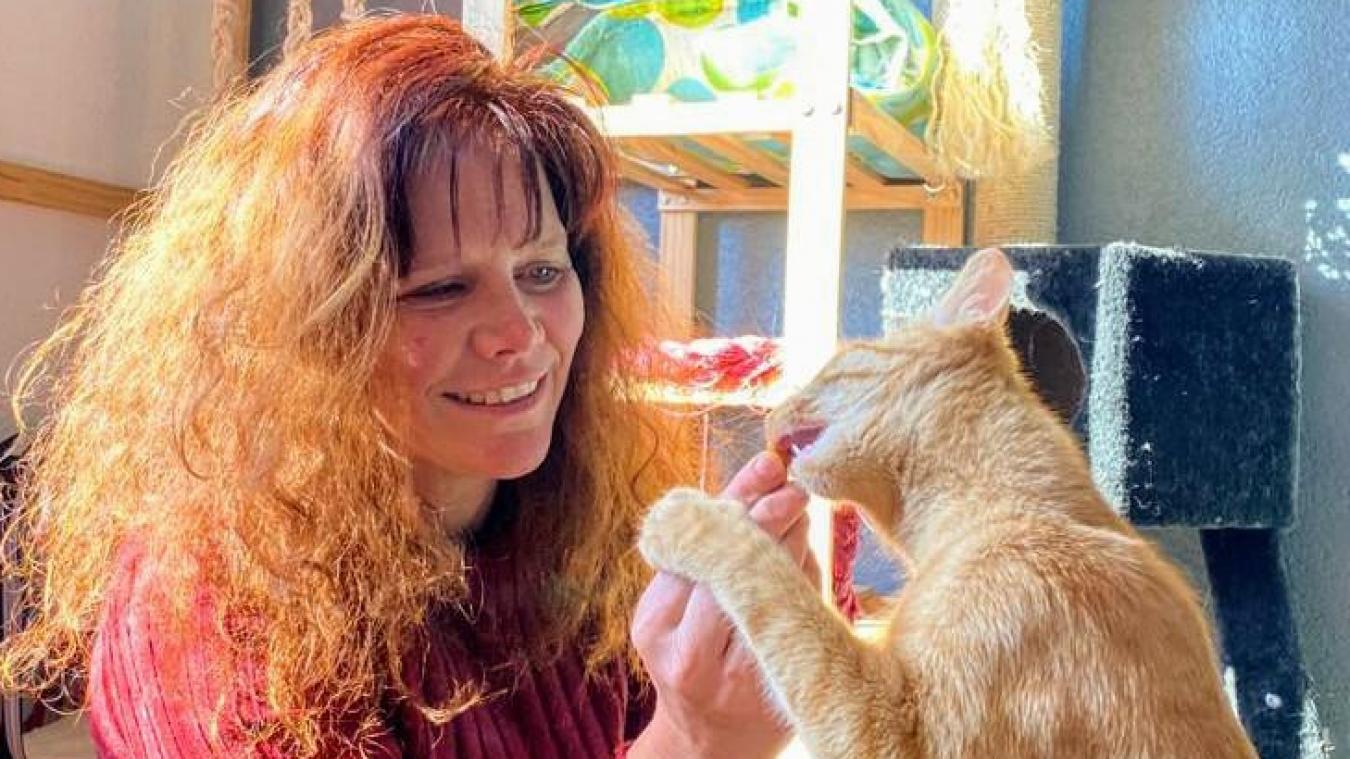 Veigy Foncenex Elle Consacre Son Temps Libre Aux Chats En Detresse Le Messager Veigy Foncenex Elle Consacre Son Temps Libre Aux Chats En Detresse Le Messager