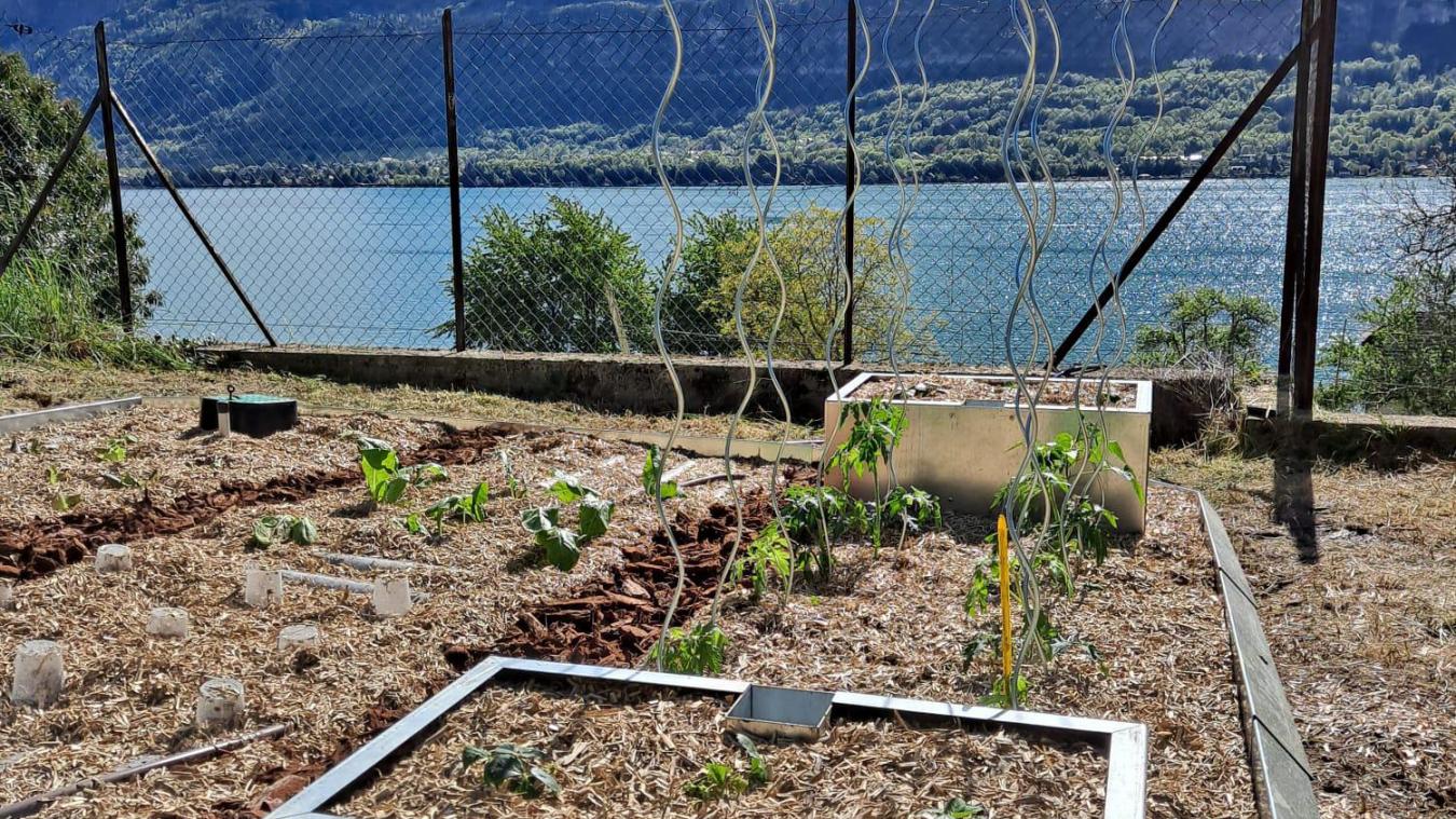 Combien Coutent Les Potagers Autonomes Made In Annecy L Essor Savoyard