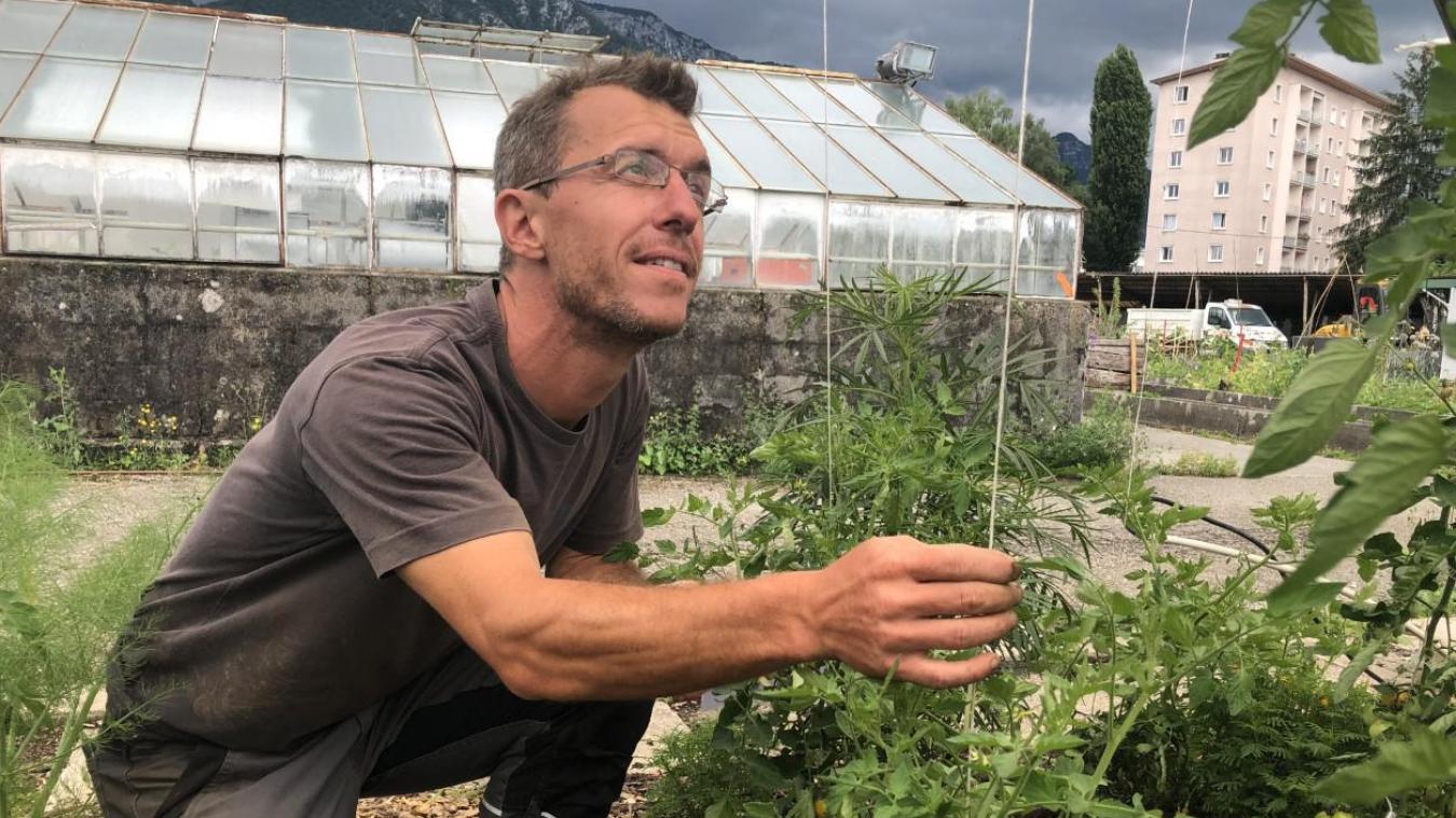 Avec sa ferme en ville, Sylvain Leroux veut permettre aux Annéciens de manger local tout en éduquant.