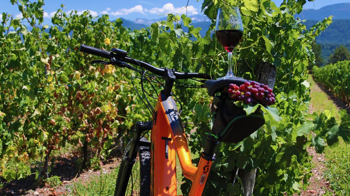 Une balade en vélo permet découvrir les spécificités des parcelles de vignes, avant d’arriver au domaine de L’Idylle et de déguster plusieurs vins de Savoie aux cépages emblématiques comme la jacquère ou la mondeuse.