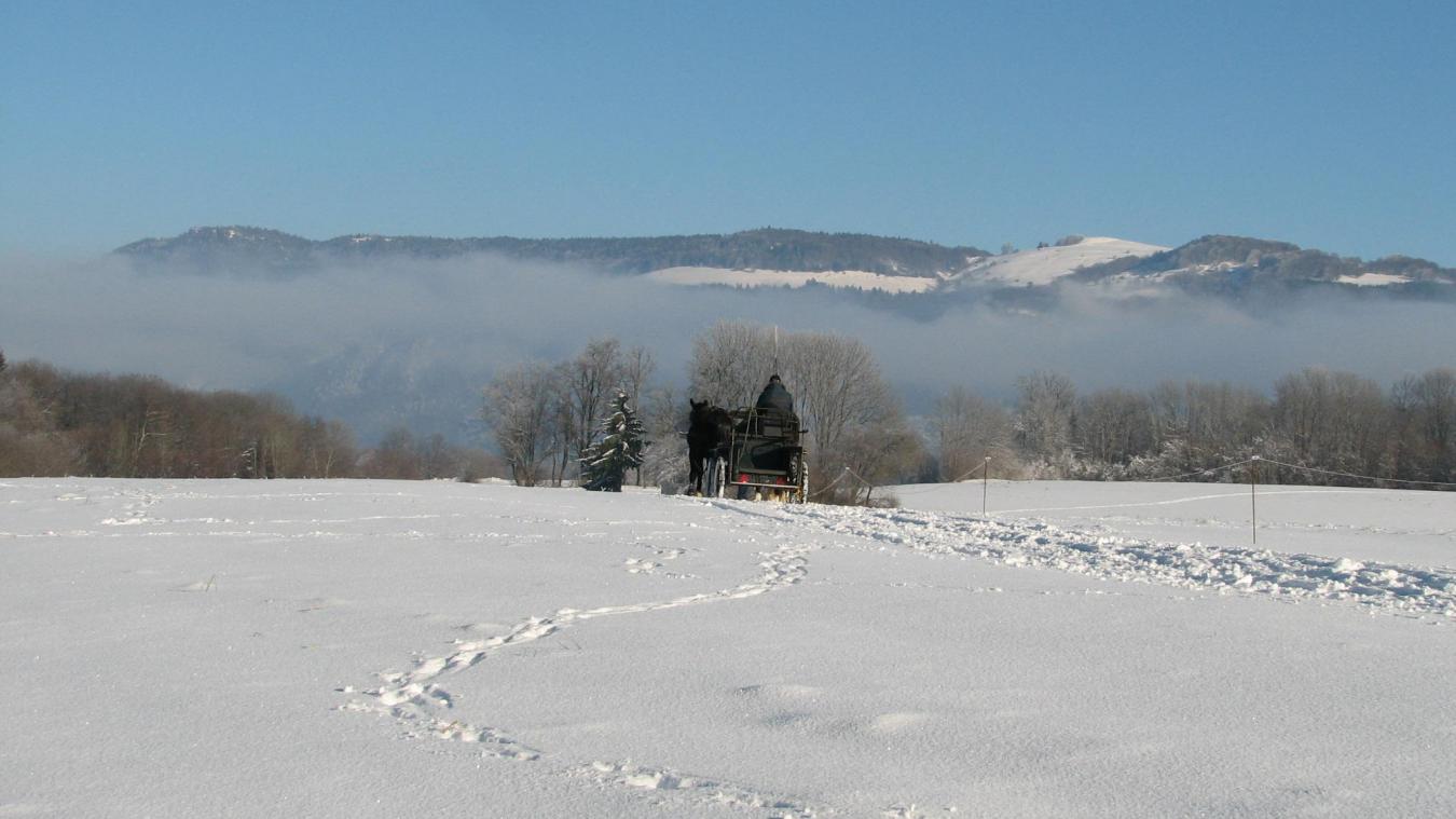 damper teenager spørge Le mont Sion, colline idéale pour des balades hivernales dans une nature  préservée - Le Messager