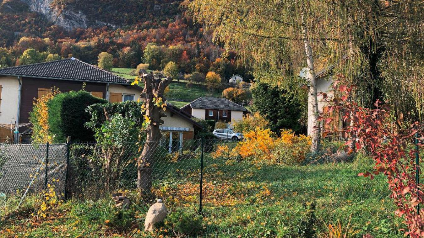 Vue avant/après du jardin concerné par la coupe d’arbres au lotissement de la Pommeraie à Mercury.