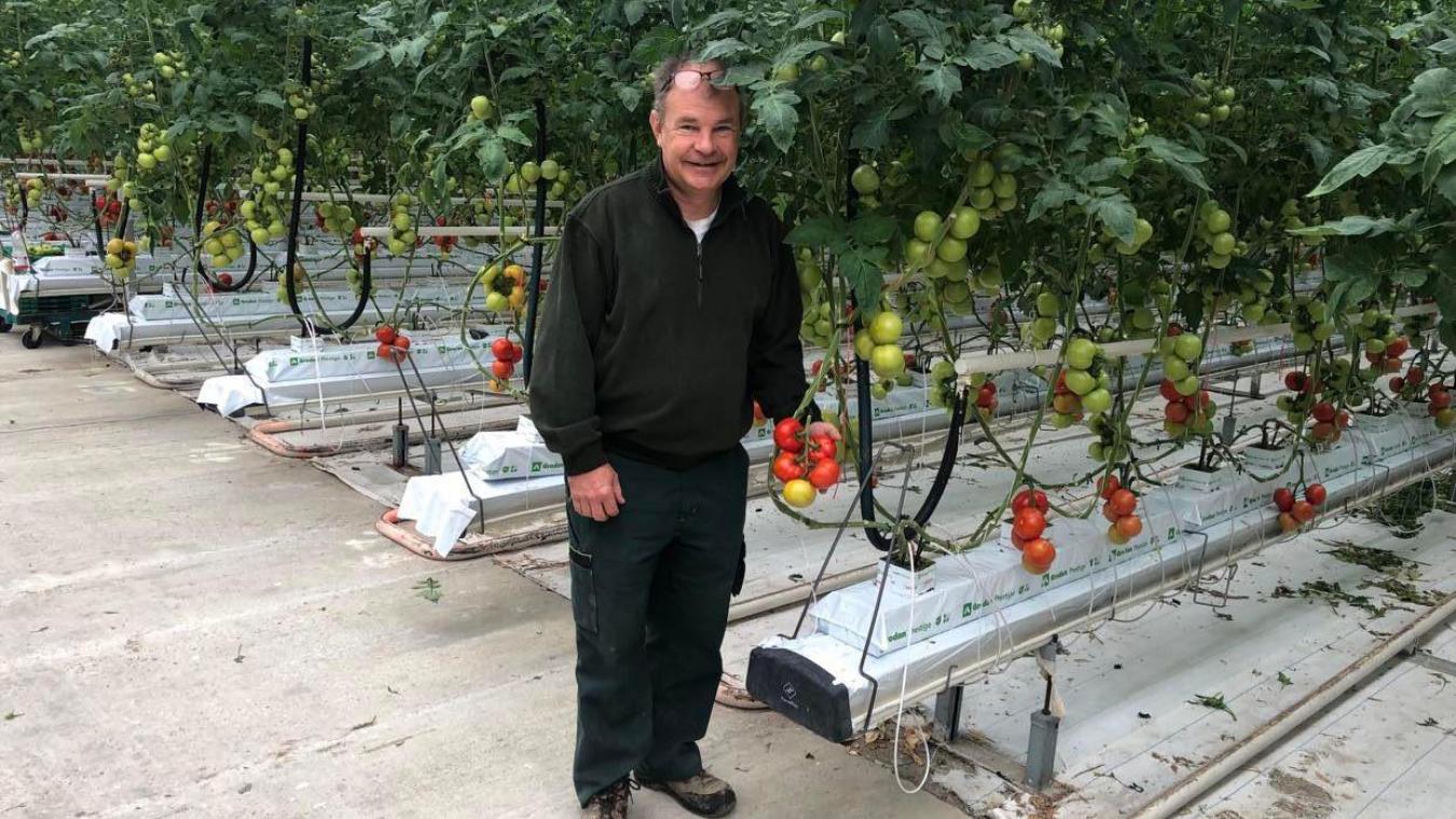 Denis Juget dans l’une des serres où sont produites des tomates hors-sol, à Gaillard, le mercredi 30 mars.
