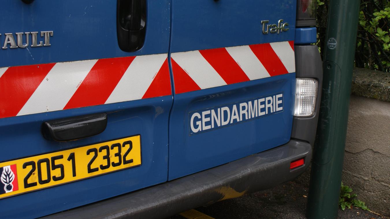 La présence d’un chevreuil mort sur les voies perturbe la circulation.