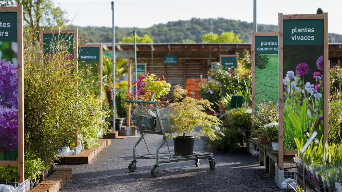 Archamps : comment Botanic a germé dans l’univers des jardineries? - Le ...