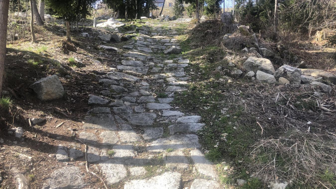 Le sentier des graniteurs, situé à Combloux, permet de tomber nez à nez avec des blocs erratiques, déposés là il y a 15000 ans.