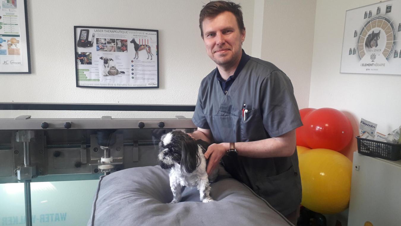 Tous les vétérinaires du cabinet de Veigy sont formés à la consultation douleur, initiée par le docteur Artem Rogalev.