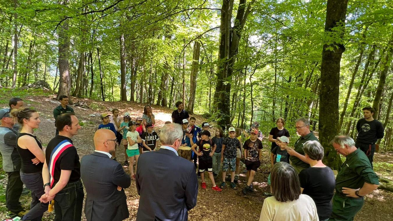Les élèves de l'école de Chedde-le-haut ont découvert leur parcelle de forêt pédagogique située proche de la passerelle du Nant-Bordon.