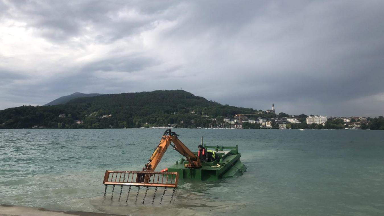 Lac d’Annecy: comment le SILA lutte contre la puce de canard ?