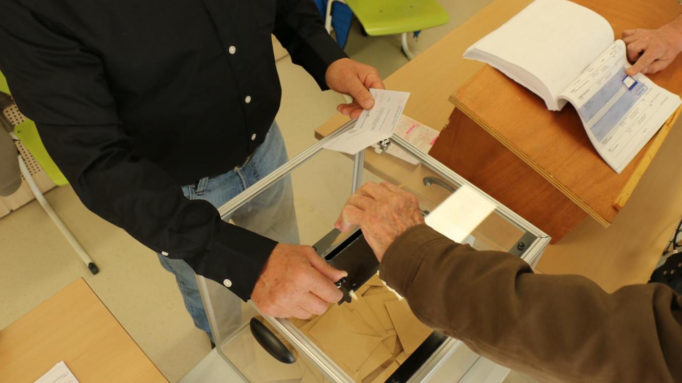 Les12 et 19 juin prochains, les électeurs savoyards devront voter pour élire leurs députés.
