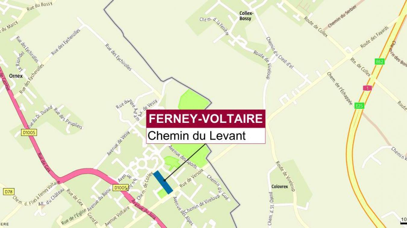 Les faits se sont produits chemin du Levant, à Ferney-Voltaire.
