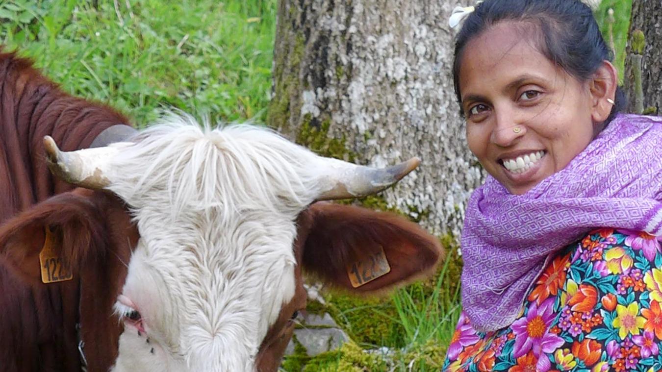 « Dans notre culture, la vache est sacrée et on la trouve partout », rappelle Deneth Piumakshi.