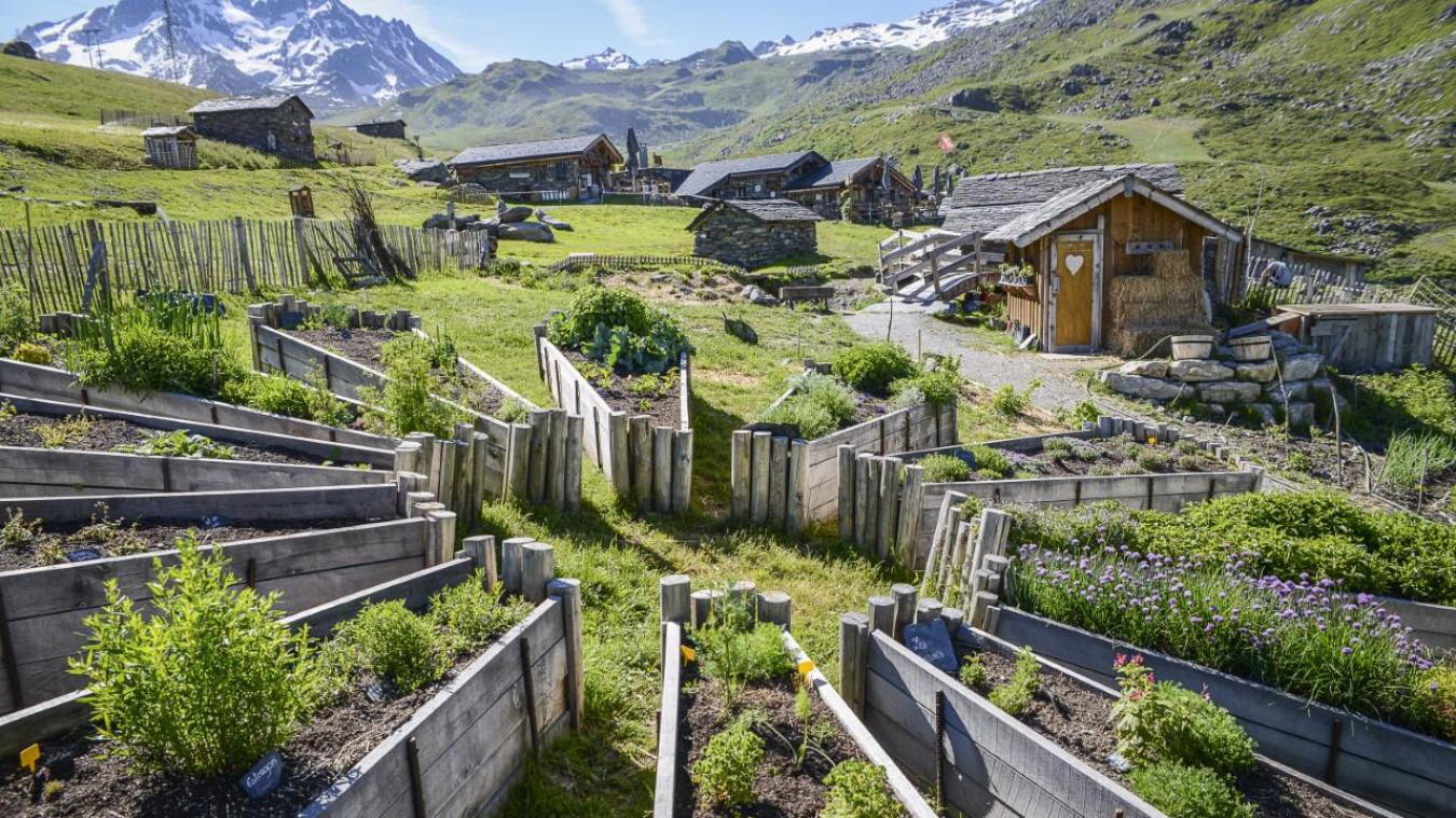 Le jardin haut perché de chez Pépé Nicolas (c) Anthony COTAREL