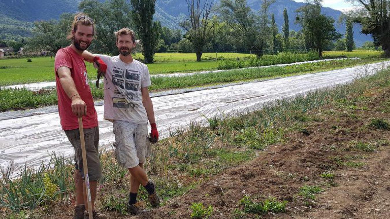Il devient difficile de se fier aux saisons pour les agriculteurs.