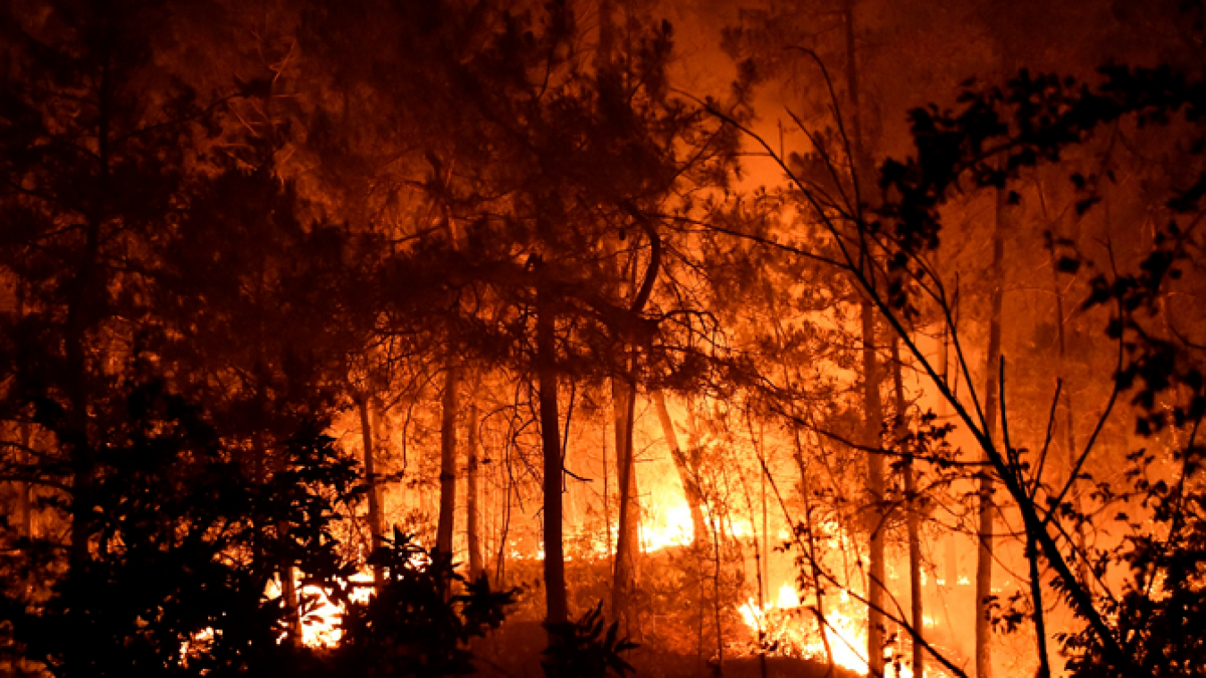 Depuis jeudi 7 juillet, un feu de forêt embrase le nord du Gard, détruisant plus de 600 hectares. 900 pompiers sont mobilisés.