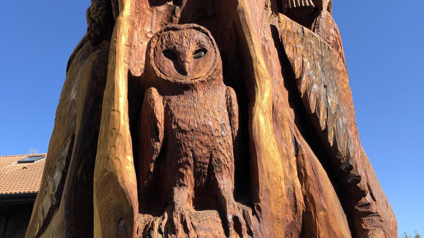 Douvaine : sculpteur animalier, il donne «une seconde vie» à un séquoia malade