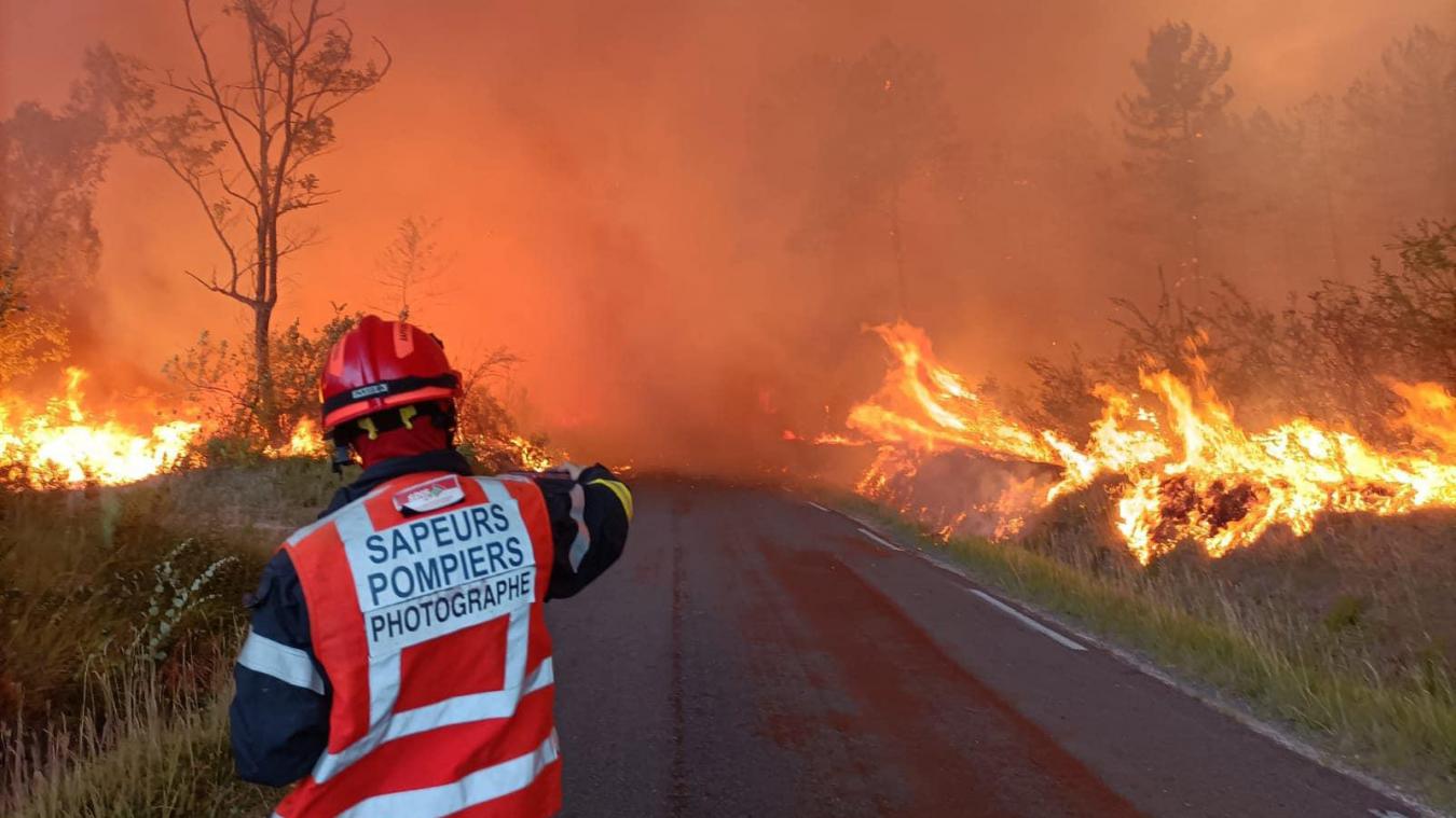 Face aux vagues de chaleur successives et aux phénomènes de sécheresse, les feux de forêt se multiplient en France. En Gironde, près de 7 650 hectares ont brûlés depuis mardi 12 juillet.