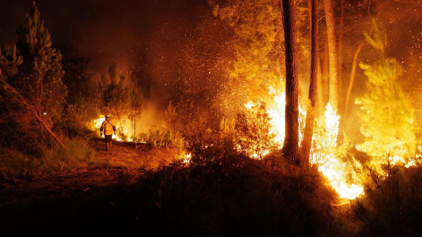 Depuis mardi 12 juillet, plus de 14 000 hectares de forêt ont brûlé dans les deux incendies « hors-norme » en Gironde.