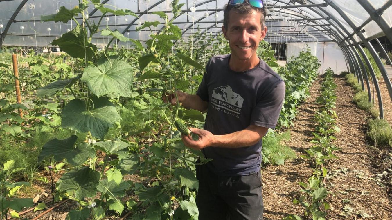 Sylvain Leroux cultive différents légumes, «en bio local abordable. L’idée n’est pas de casser sa tirelire pour venir acheter ses produits».