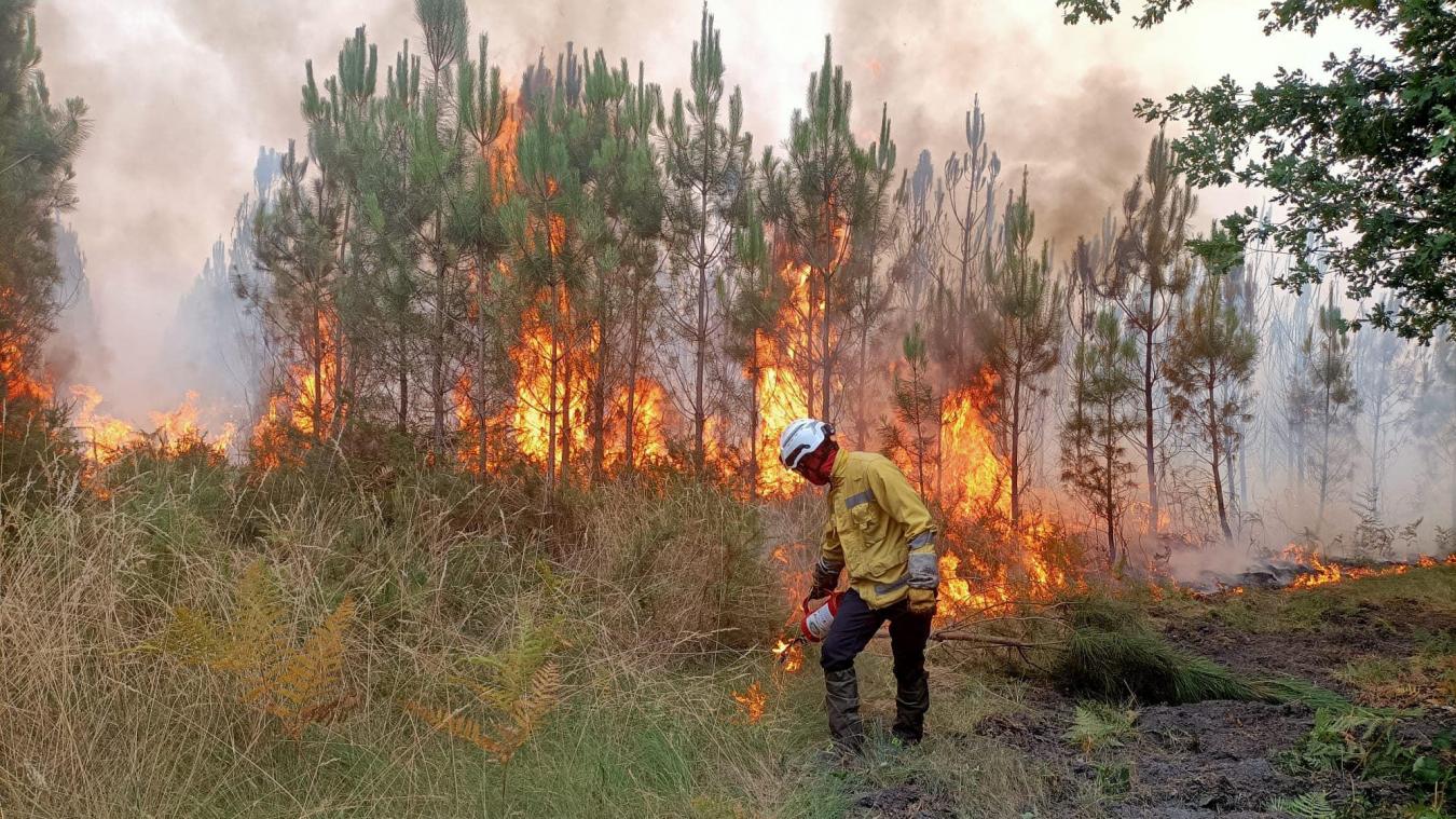 Plus de 20 000 hectares de forêt ont brûlé depuis le début des incendies en Gironde. Alors que le feu a « très peu progressé » dans la nuit de mardi 19 à mercredi 20 juillet, Emmanuel Macron doit se rendre sur place.