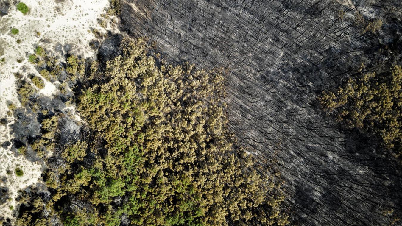 Près de 21 000 hectares de forêt ont brûlé dans les deux incendies du sud de la Gironde.